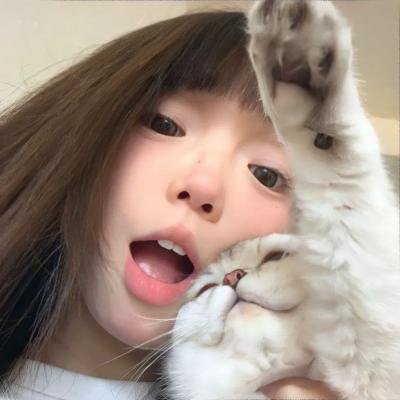 天网狼蛛